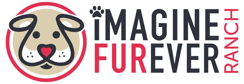 Imagine Furever Ranch logo