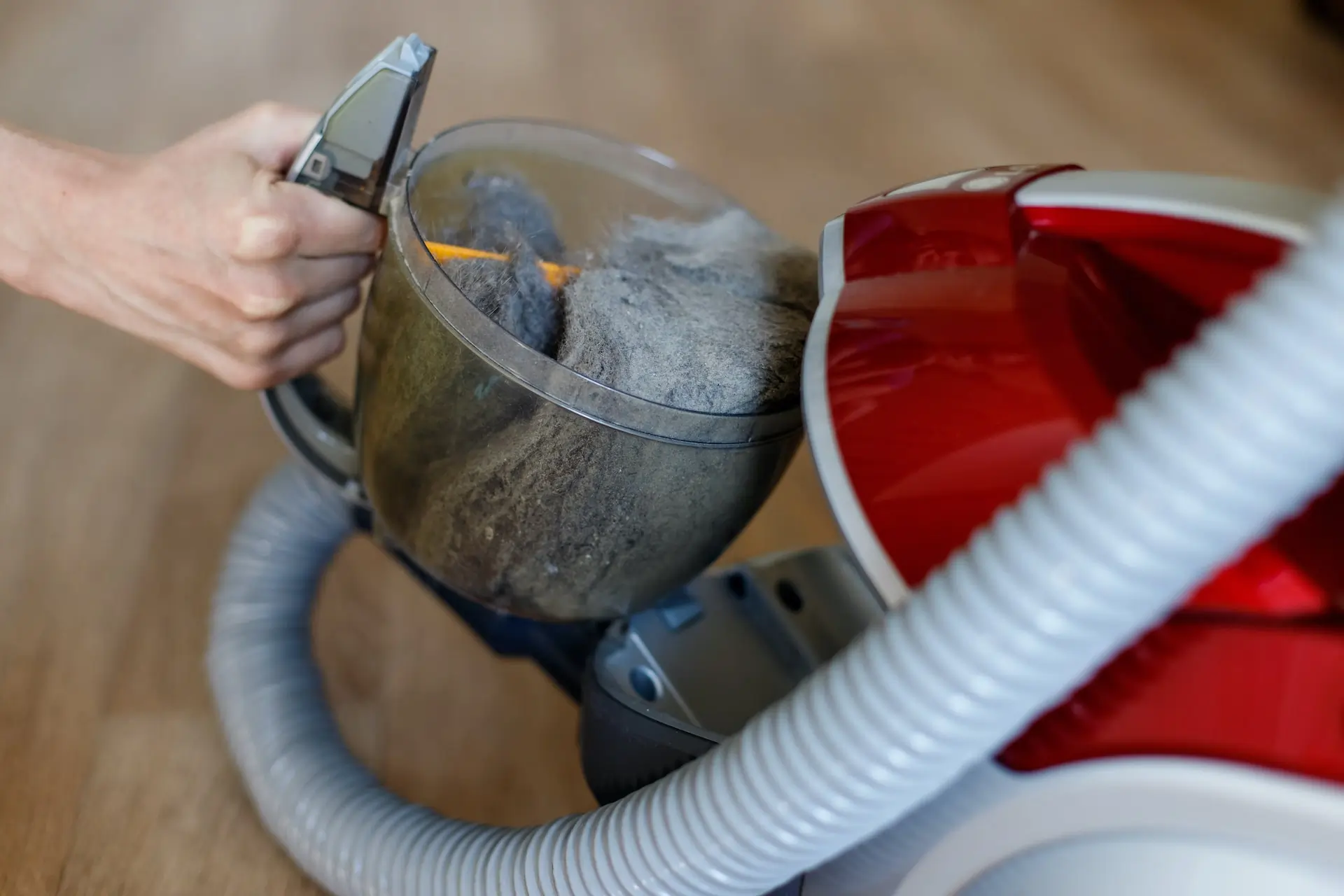 A full vacuum dust bin being emptied.